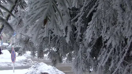 Temperaturi de minus 16,9 grade Celsius. Gerul pune stăpânire pe ţara noastră