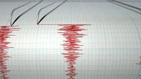 Cutremur în Vrancea, vineri seară
