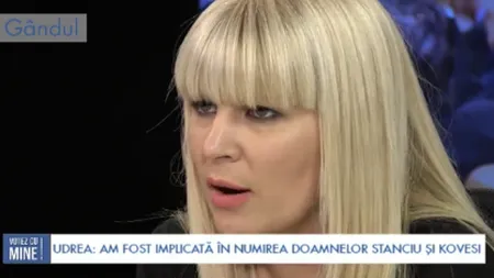 Elena Udrea: Ştiu exact cum a ajuns Livia Stanciu şefa ICCJ şi nu-i face onoare