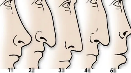 Iată ce secrete poţi afla despre o persoană în funcţie de forma nasului