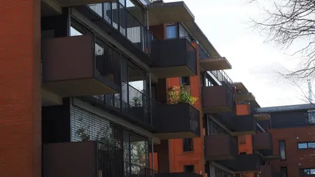 Apă plină de fecale pentru locuitorii unui ansamblu de lângă Capitală. Ce s-a întâmplat cu dezvoltatorul care i-a pus în pericol