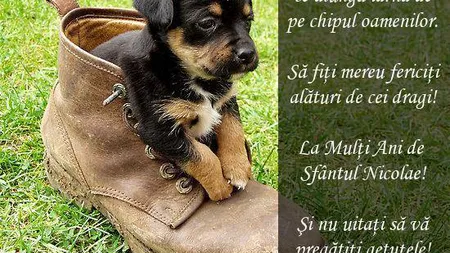 MESAJE de MOS NICOLAE. SMS-uri, urări şi felicitări pe care le poţi trimite de Sfântul Nicolae 2016