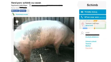 Cel mai tare anunţ de Crăciun. Doi porci la schimb cu un cazan de ţuică