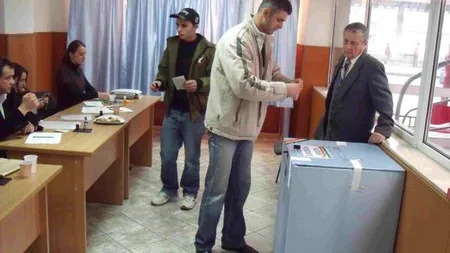 Un prahovean a tăiat un copac care a rupt firele electrice de la 9 secţii de votare. Votul a fost întrerupt