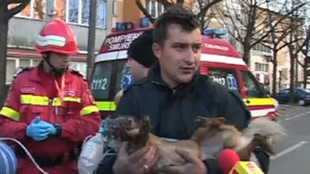 A murit Snoopy, câinele salvat dintr-un incendiu de un pompier VIDEO