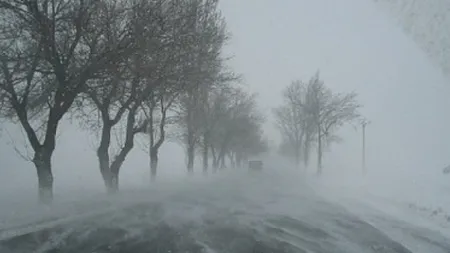 COD GALBEN DE VÂNT şi VISCOL în sud-estul ţării. Circulaţia ar putea fi întreruptă pe unele drumuri HARTA METEO