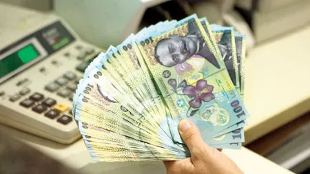 Ajutor de la Guvern de 200.000 de lei pentru micii afacerişti în 2017