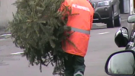 Un gunoier a fost scos din sărite de bradul lui Băsescu. Înregistrare cu camera ascunsă VIDEO
