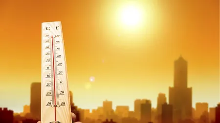 2016, cel mai cald an din istorie. Temperatura a crescut cu 1,1 grade faţă de era pre-industrială