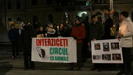 Protest în Cluj-Napoca pentru interzicerea spectacolelor de circ