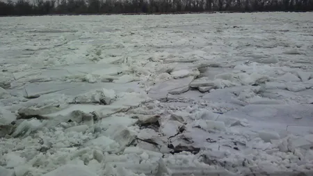 Operaţiune de salvare pe Dunărea îngheţată. Doi bărbaţi rămaşi izolaţi pe o insulă, recuperaţi de pompieri
