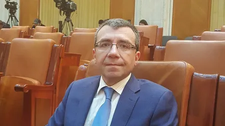 Mihai Voicu, vicepreşedinte PNL: Principalul nostru adversar are mustaţă