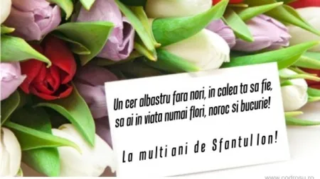 MESAJE de SFÂNTUL ION: Trimite şi tu FELICITARI DE SF. IOAN 2017