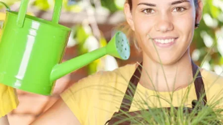 8 motive pentru care ar trebui să-ţi iei plante de apartament