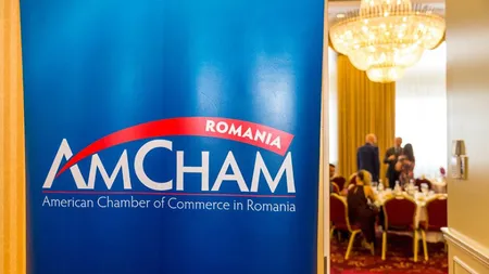 Camera de Comerţ Americană în România, despre modificarea Codurilor Penale: Creşte riscul de ţară şi subminează statul de drept