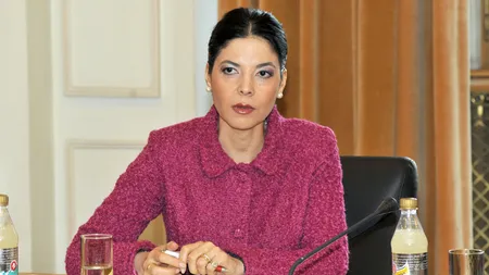 Ana Birchall: Am înţeles mesajul celor care s-au exprimat în spaţiul public şi preocuparea partenerilor externi