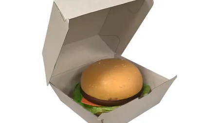A cumparat un BURGER pentru COPIL. Când l-a desfăcut acasă a avut un şoc FOTO