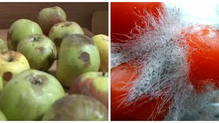 Fructe şi legume cu colonii de MUCEGAI, la vânzare în marile supermarket-uri. LISTA magazinelor FOTOGALERIE