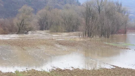 Un drum judeţean şi zeci de hectare de terenuri arabile din Arad, inundate după revărsarea râului Crişul Alb