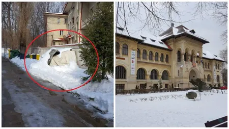 Angajaţii Muzeului de Geologie, noi dovezi despre radiaţiile puternice. Au apărut fotografii cu oasele unui mamut