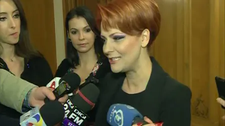 Olguţa Vasilescu, despre OUG care modifică codurile penale: Mie nu mi se aplică