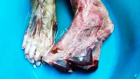 Fotografie şocantă postată de un chelner pe internet. Un restaurant chinezesc este acuzat că serveşte clienţilor carne de om