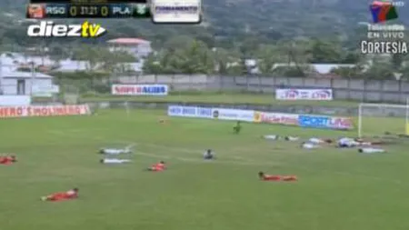 Atacul albinelor. Un roi agesiv a întrerupt un meci de fotbal VIDEO