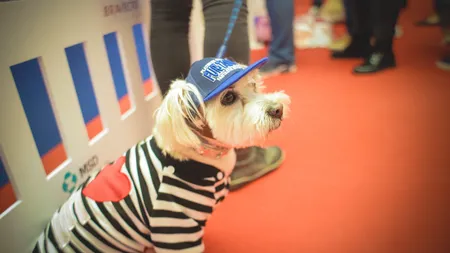 PetExpo - singurul eveniment de lifestyle pentru animale îşi deschide porţile pe 5 mai