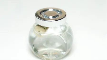 A lăsat la înmuiat peste noapte un dop de plută în spirt. Ce a observat dimineaţa