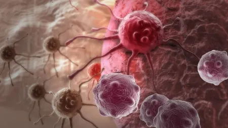 Este cancerul contagios? Cele mai frecvente mituri despre cancer