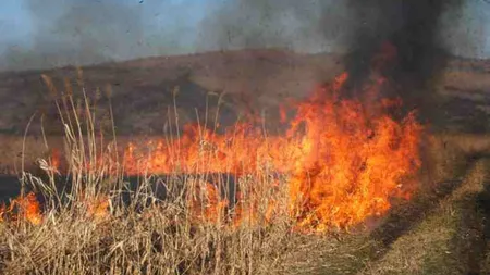 Incendiu de vegetaţie în Prahova. Zece hectare au fost afectate, dintre care trei păduri