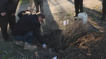 Klaus Iohannis a plantat un puiet de stejar de Ziua Naţională a Pădurii: Nu este de ajuns să ne opunem defrişărilor ilegale