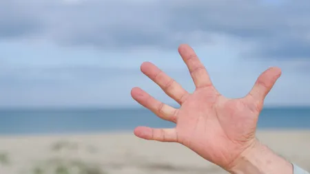 Liniile din palmă îţi revelă viaţa