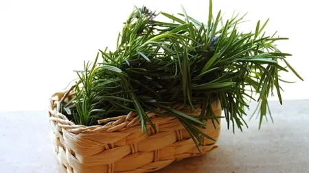 Plante aromatice vindecatoare ce trebuie să fie în orice bucătărie
