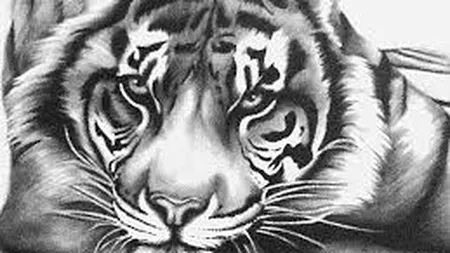 Zodiac chinezesc: Cum sunt copiii născuţi în Anul Tigrului