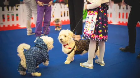 PetExpo - un weekend cu familia în lumea animalului de companie