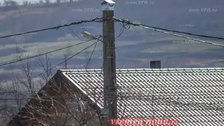 Localnicii dintr-o comună vasluiană au dat cu piciorul norocului. AU STRICAT CUIBURILE BERZELOR FOTO