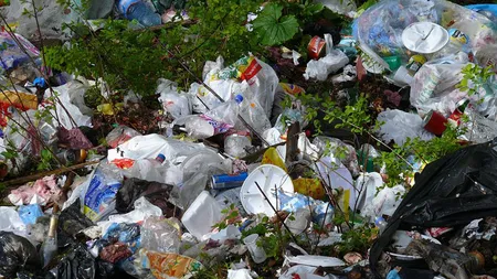 Aproape 500 tone de gunoaie, strânse în Sebeş cu ajutorul a 1.300 de voluntari şi mai mulţi agenţi economici