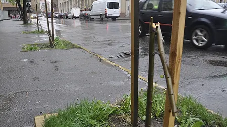 Un angajat de la salubritate a vandalizat centrul oraşului Satu Mare. Incredibil ce a putut să facă omul VIDEO