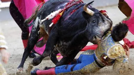 Imagini de groază la o corrida, la Madrid. Un toreador a fost grav rănit de un taur VIDEO