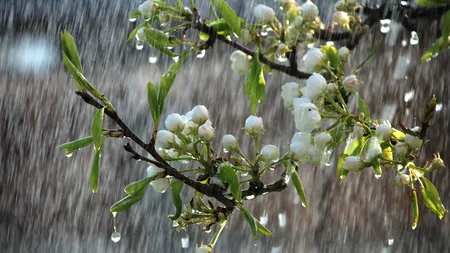 PROGNOZA METEO. Zile cu temperaturi de vară, după care vin ploile