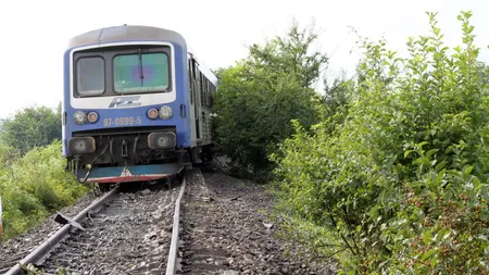 Trafic feroviar întrerupt în mai multe judeţe din cauza vântului puternic. Mai mulţi copaci au fost doborâţi pe calea ferată UPDATE