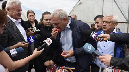 Liviu Dragnea şi Petre Daea au mâncat roşii de solar în Oltenia