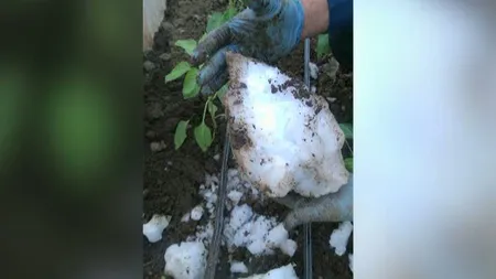 Fenomen neobişnuit în judeţul Olt. Un bulgăre de gheaţă imens a căzut în curtea unor gospodari