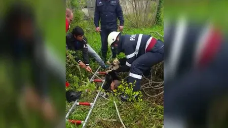 Intervenţie inedită a pompierilor, la Mediaş. Un căţel, salvat dintr-un puţ de 17 metri VIDEO