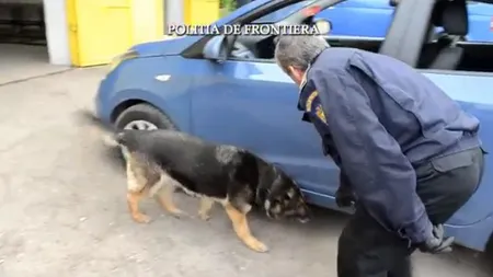 Droguri ascunse sub portbagajul unei maşini. Şoferul le-a spus poliţiştilor că e o răzbunare