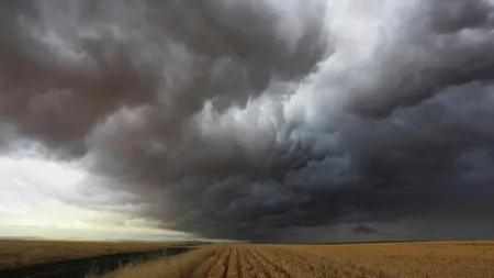 Aproximativ 9.000 de hectare de culturi agricole din judeţul Galaţi, afectate de fenomenele meteo extreme