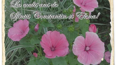 MESAJE DE SF. CONSTANTIN SI ELENA pentru iubite şi iubiţi