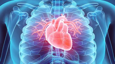 Ce sunt aritmiile cardiace şi de ce apar