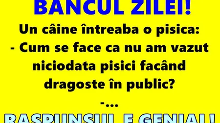 BANCUL ZILEI: Câinele şi pisica